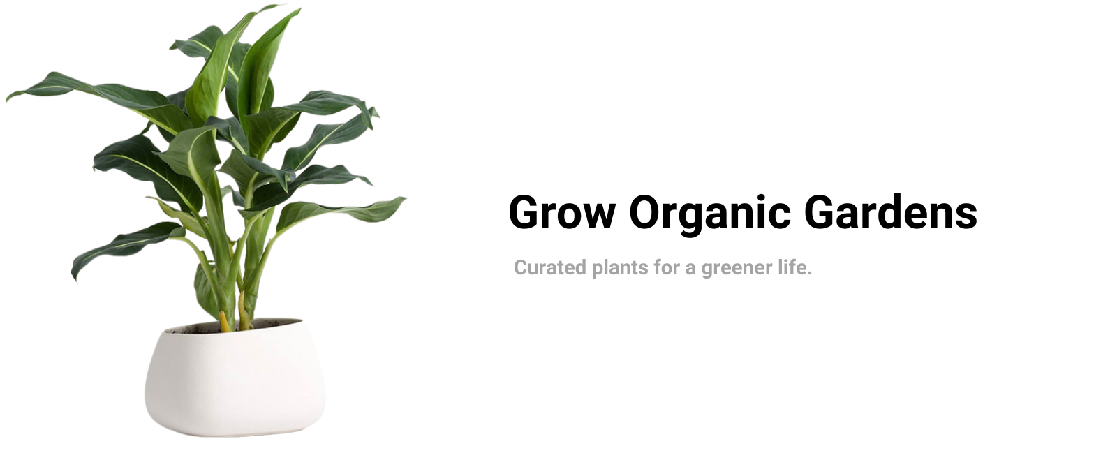 Chakra Crystal Healing