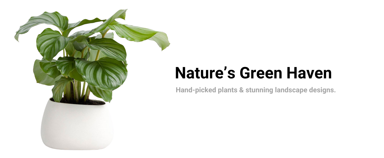 Chakra Crystal Healing