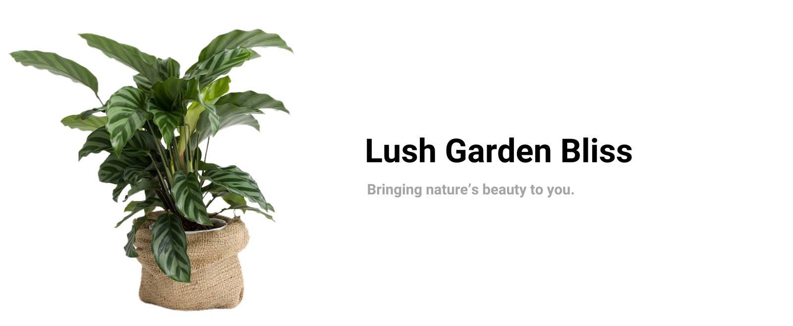 Chakra Crystal Healing