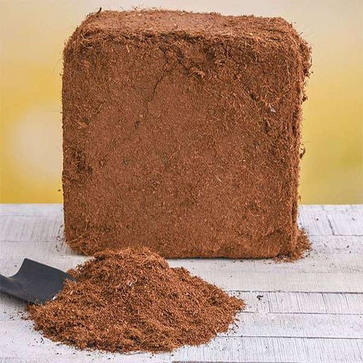 COCOPEAT (50 KG)